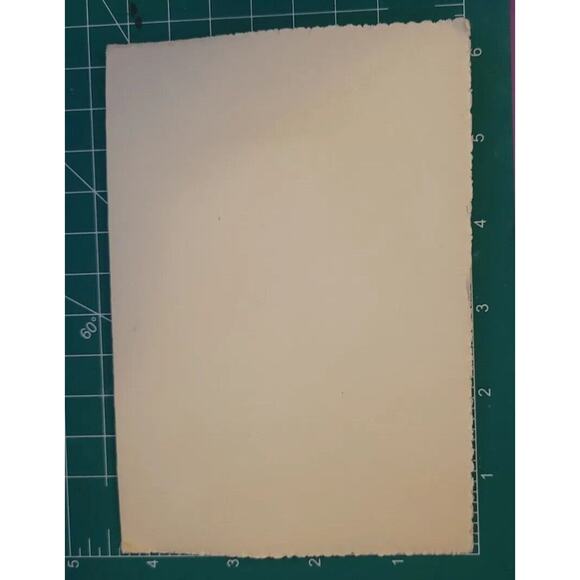 VINTAGE Found Birth Announcement Baby Photo boy Bataan Santa Fe NM Walker - Picture 5 of 5